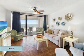 تلفزيون، مشغل دي في دي