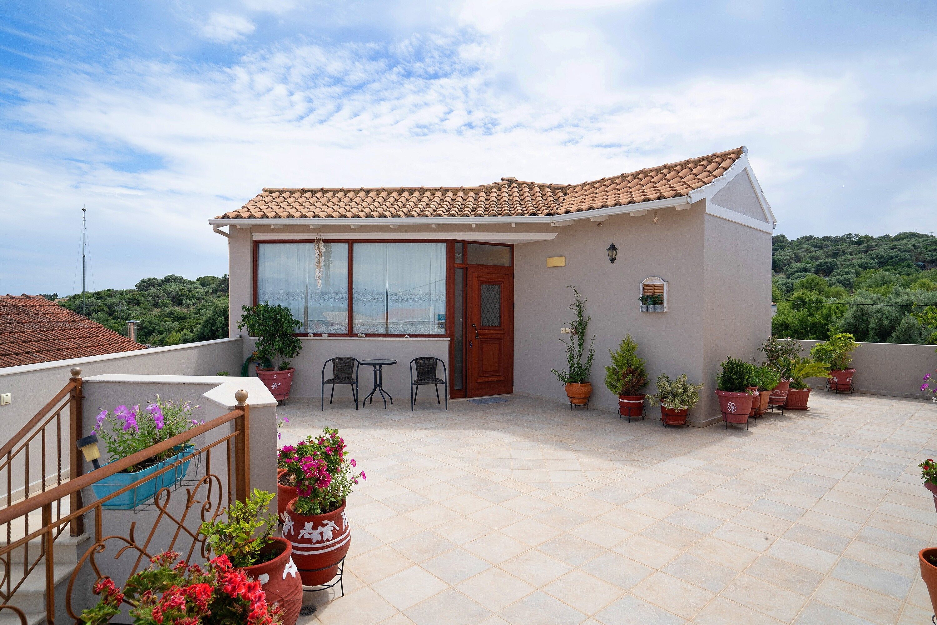 テラス / パティオ