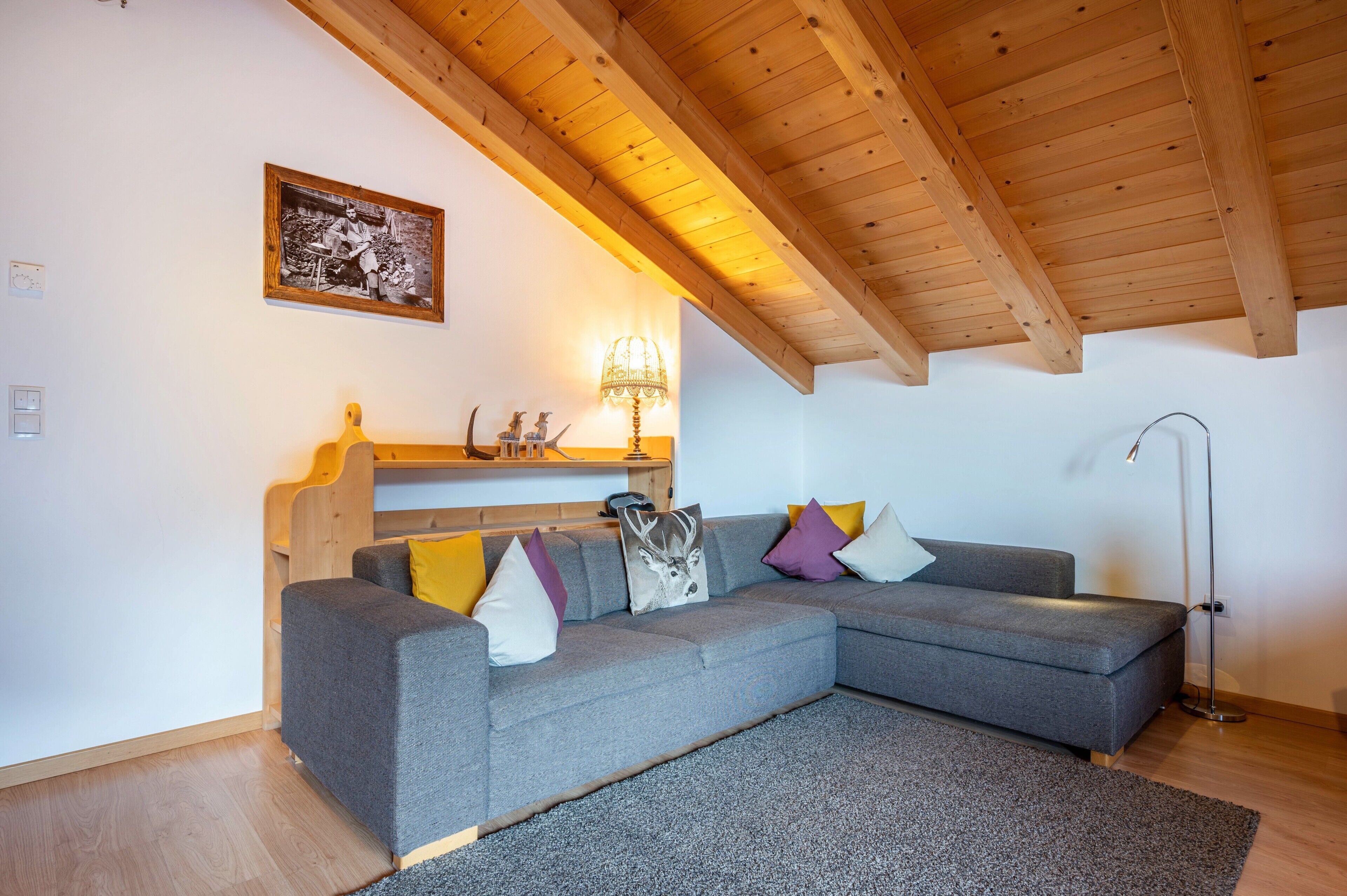 Fernseher, Tischtennisplatte