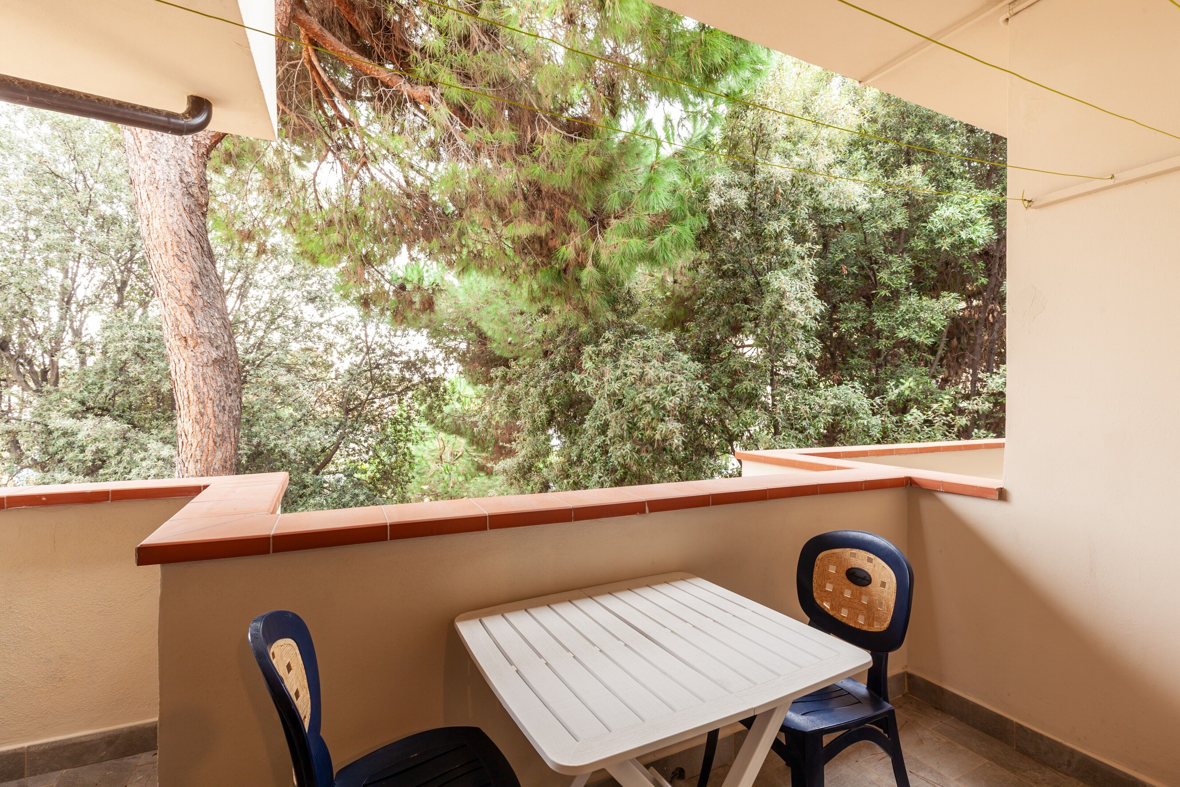 Un balcon avec une table et des chaises, donnant sur une forêt dense.