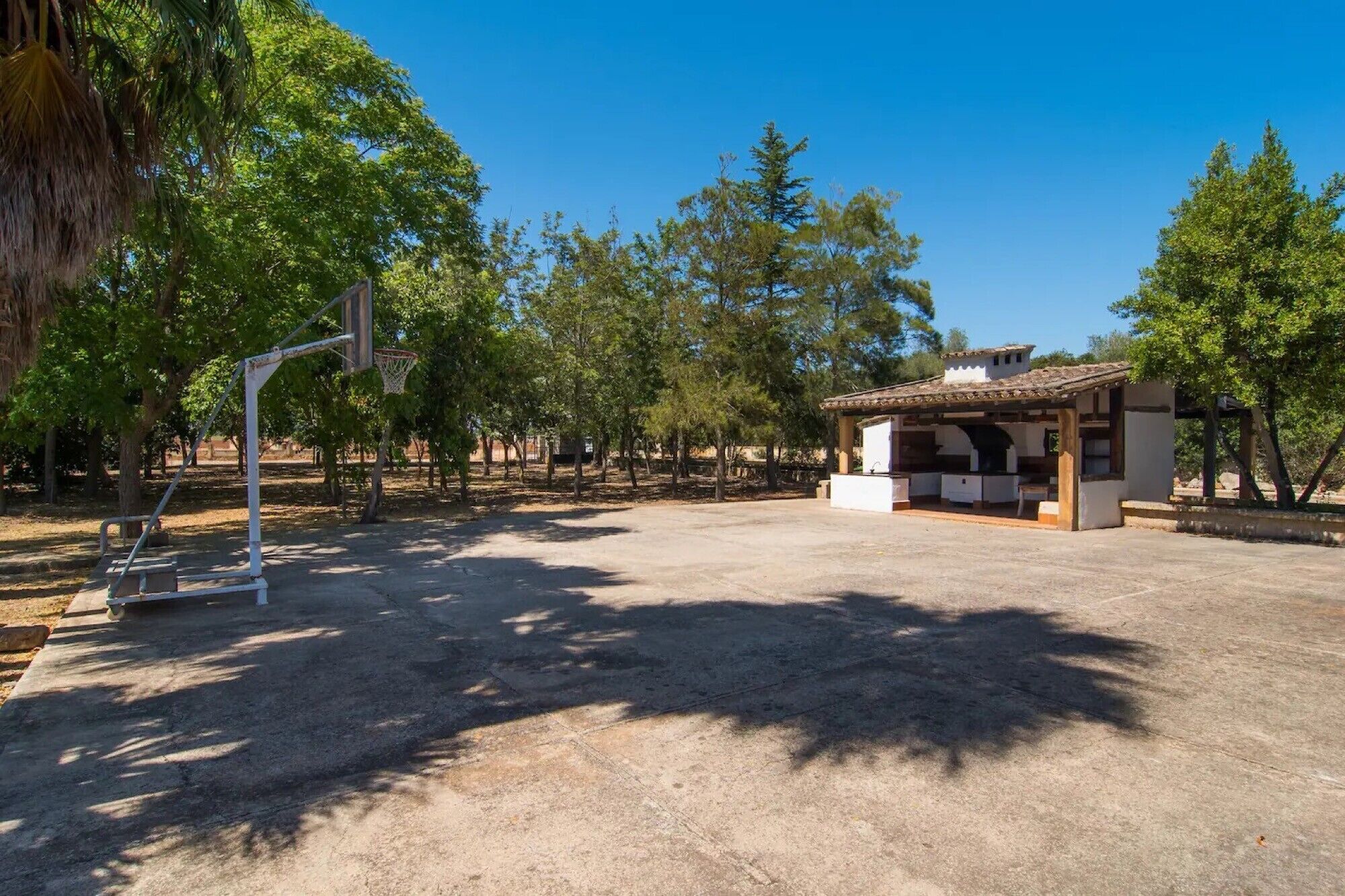 Un terrain de basket avec un panier, une zone de sièges abritée et des arbres en arrière-plan.