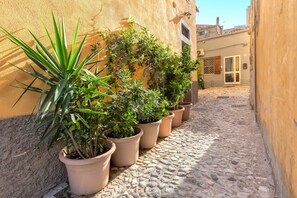 Une ruelle étroite pavée de pierres, avec des plantes en pot disposées le long des murs.