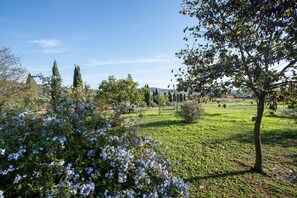 Property grounds - Celestina - Agriturismo La Valentina with Garden and Wi-Fi (Talamone)