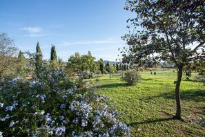 Property grounds - Farmhouse "Gelsomina - Agriturismo La Valentina" with Terrace & Wi-Fi (Talamone)