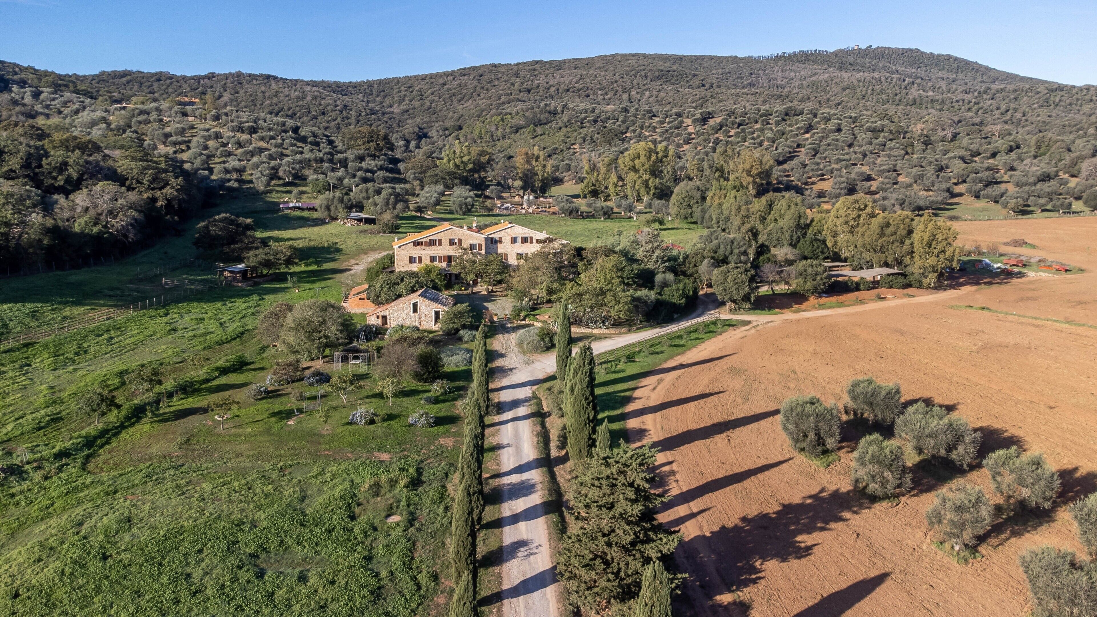A large stone house with multiple rooms, surrounded by a well-maintained garden and a dirt path leading to the entrance.