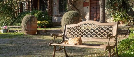 A bench with a cat, surrounded by greenery and a building with a brick facade.