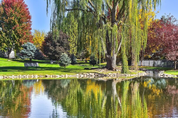 المنطقة المحيطة بالمنشأة