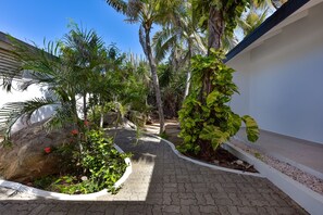 Property grounds - Tropical oasis in Aruba #4 (Paradera)