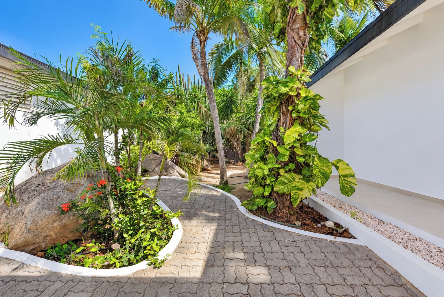 A paved pathway flanked by lush tropical plants and a white wall.