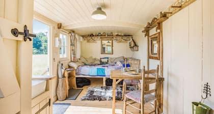 Shepherds Hut in the Cotswolds - Littlestock