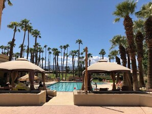 A pool area with palm trees, lounge chairs, and umbrellas. - Desert Oasis Retreat in Palm Desert (Palm Desert)