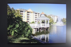 Imagen sin descripción, 2 de 5, botón