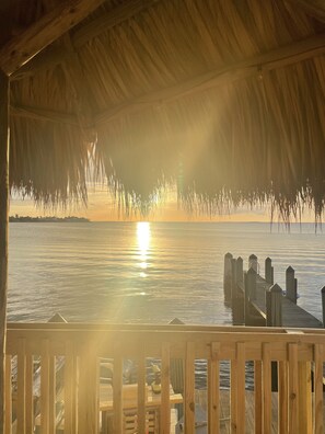 Property grounds - Sunsets in Key Largo (Key Largo)
