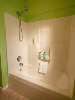 Combined shower/bathtub, hair dryer