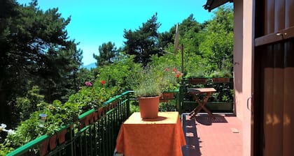 Gemütliches Ferienhaus