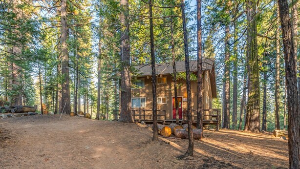 Eine rustikale Holzhütte im Wald, verbunden durch einen Feldweg, umgeben von hohen Bäumen.