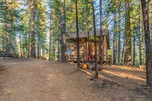 A rustic cabin in a forest with a dirt path leading to it, surrounded by tall trees. - Candy's Cottage- Perfect ski weekend getaway! (Camp Connell)