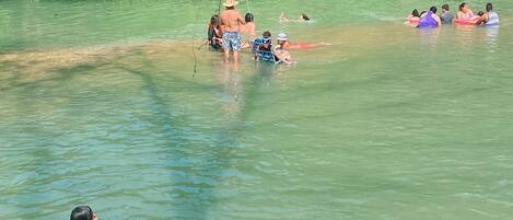 A group of people in a natural water setting, some on inflatable rings, with trees and a picnic area in the background.