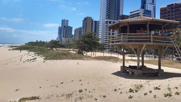 A beach with a wooden structure, palm trees, and tall buildings in the background. - Lar Recife Olinda Praia 2 (Recife)