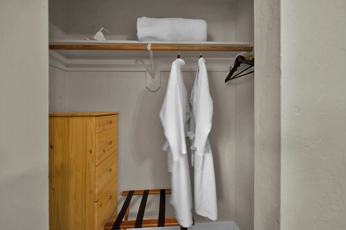 The Robin- A Room With a Forest View