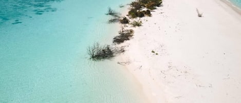 Una spiaggia nelle vicinanze