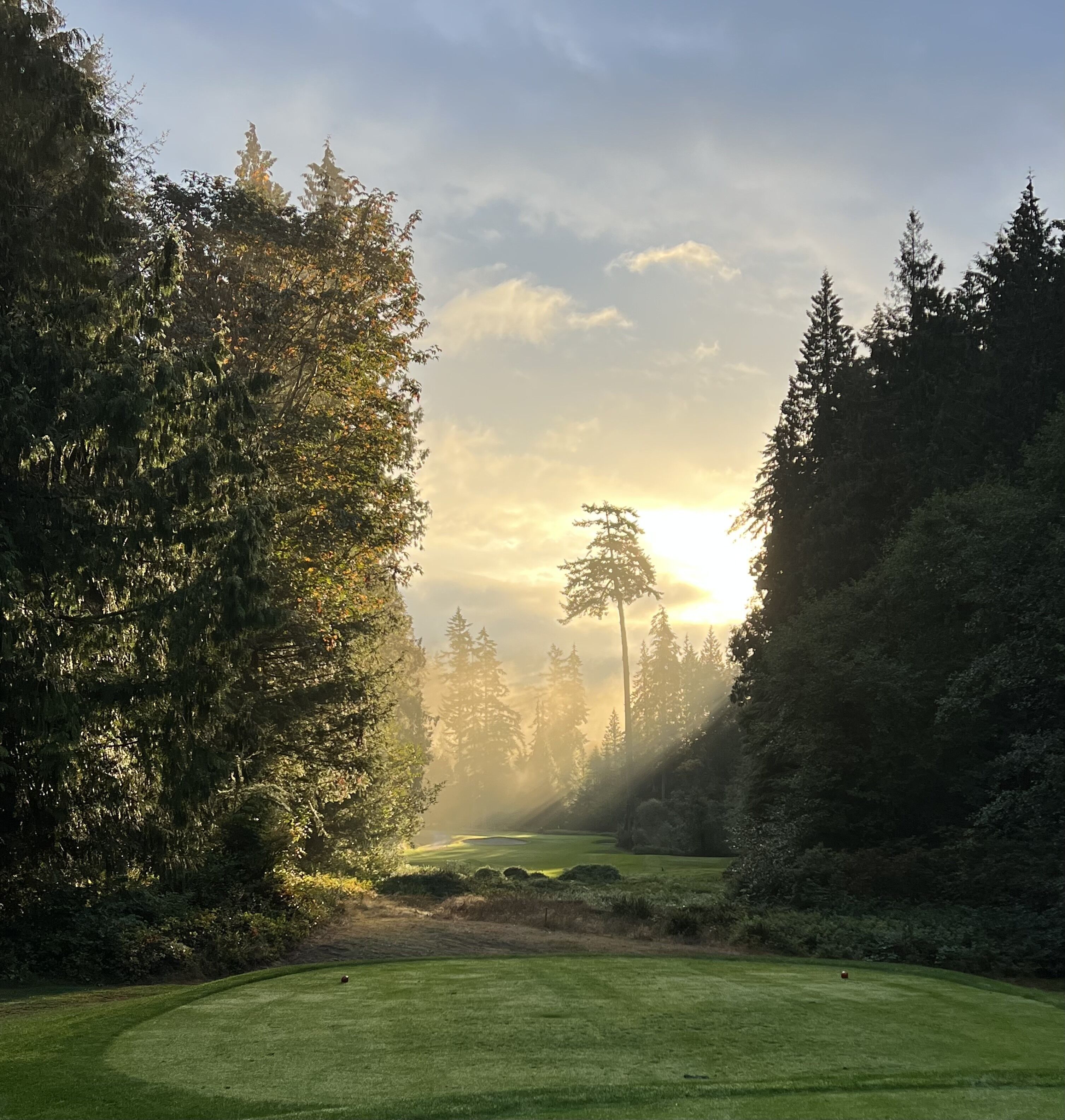 Un campo da golf con una zona boschiva su un lato e un cielo sereno da cui filtra la luce del sole tra gli alberi.