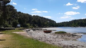 A beach with boats, a forested hill, and a clear sky. - L'optimist - Pluneret (PLUNERET)