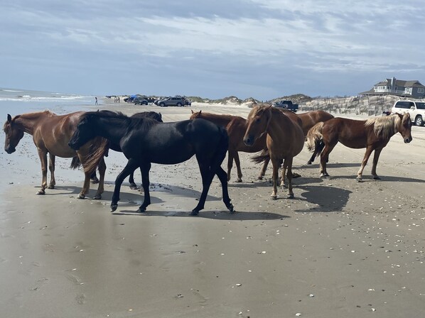 Deportes de invierno