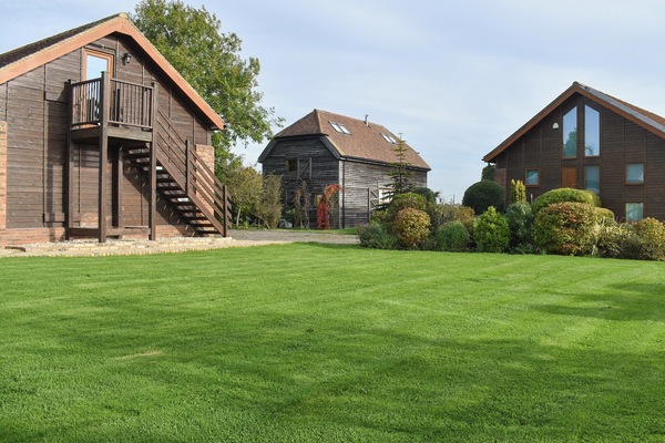 Setting | Moorhens - Chilsham Farm Nurseries, Herstmonceux, near Hailsham