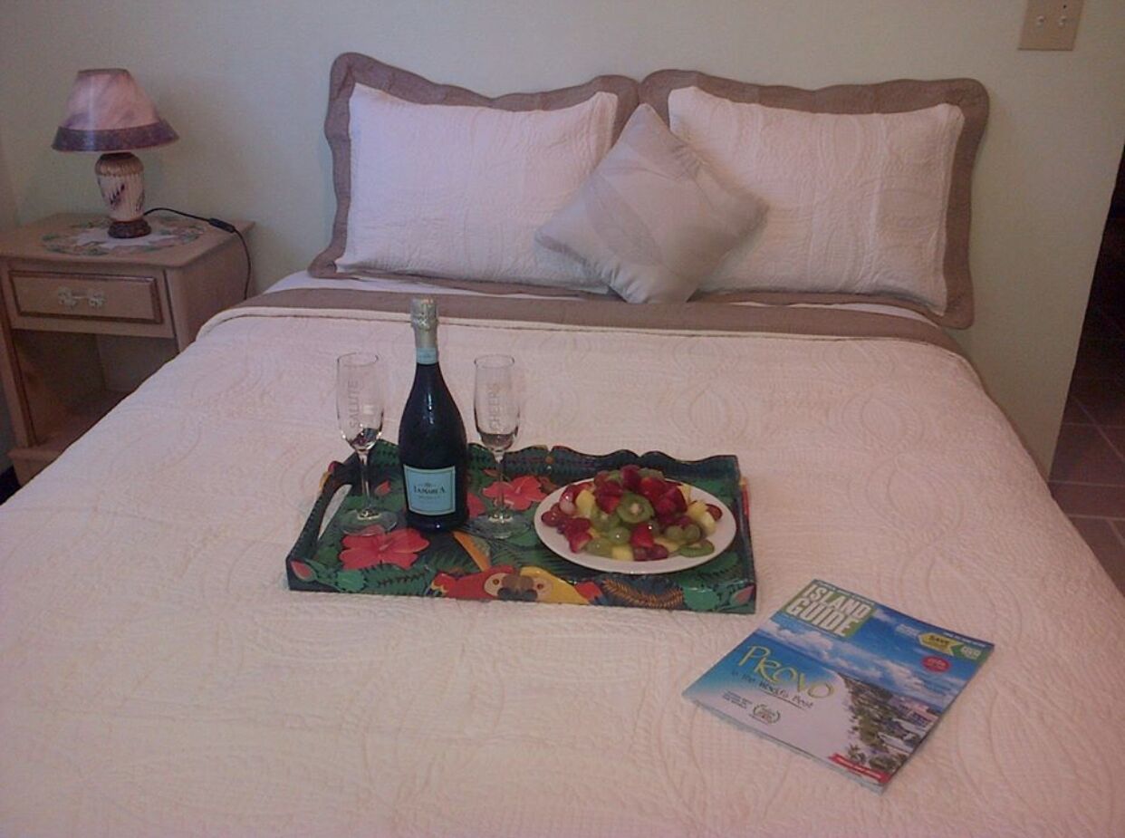 Economy Apartment | Egyptian cotton sheets, premium bedding, down comforters