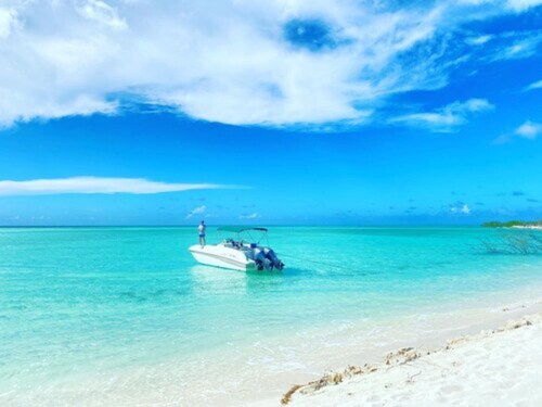 Silver Palm Vacation Rental