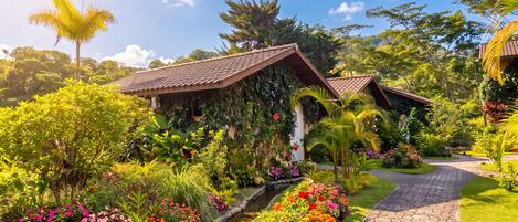 A garden with a pathway leading to a building with a tiled roof, surrounded by lush greenery and flowering plants.