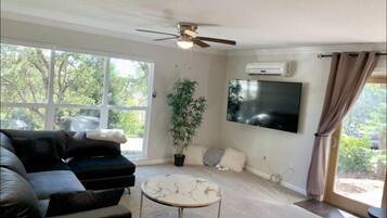 Smart TV, fireplace, DVD player, books