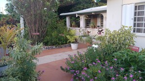 Un jardín con diversas plantas y flores, un sendero y un edificio con una ventana y una puerta.
