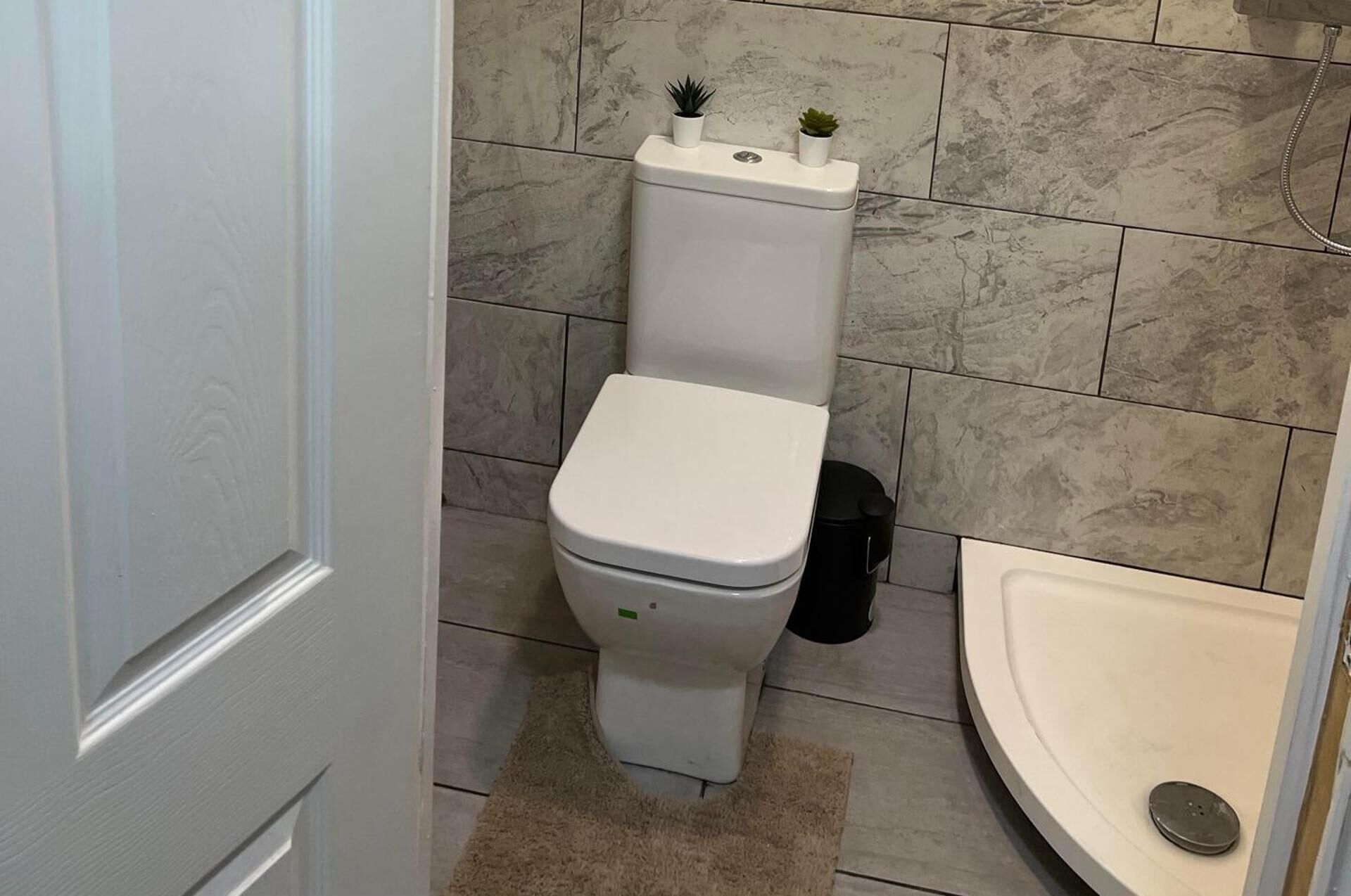 A bathroom with a toilet, a sink, and a shower.