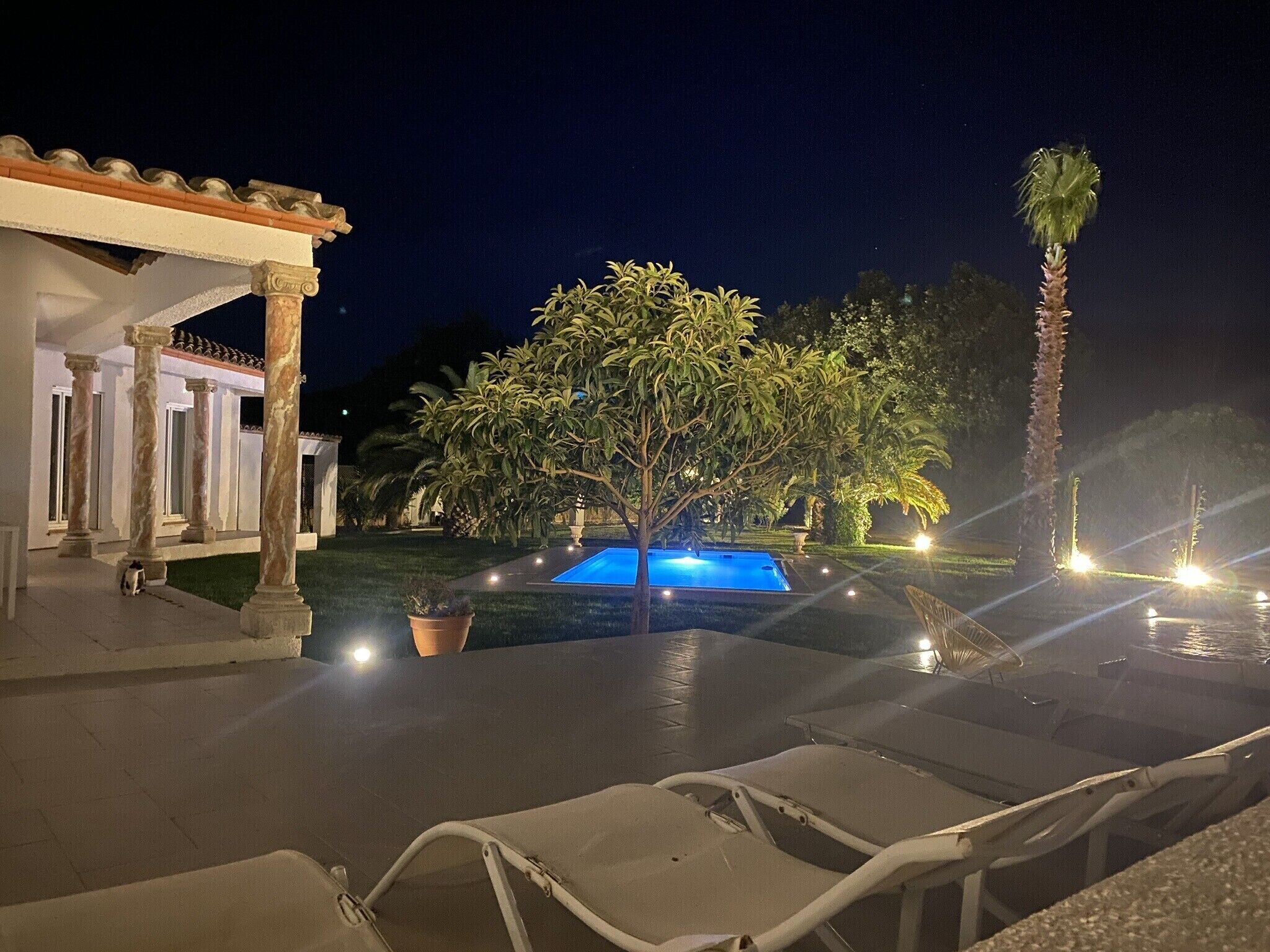 A pool area at night with a tree, lounge chairs, and a building with columns.