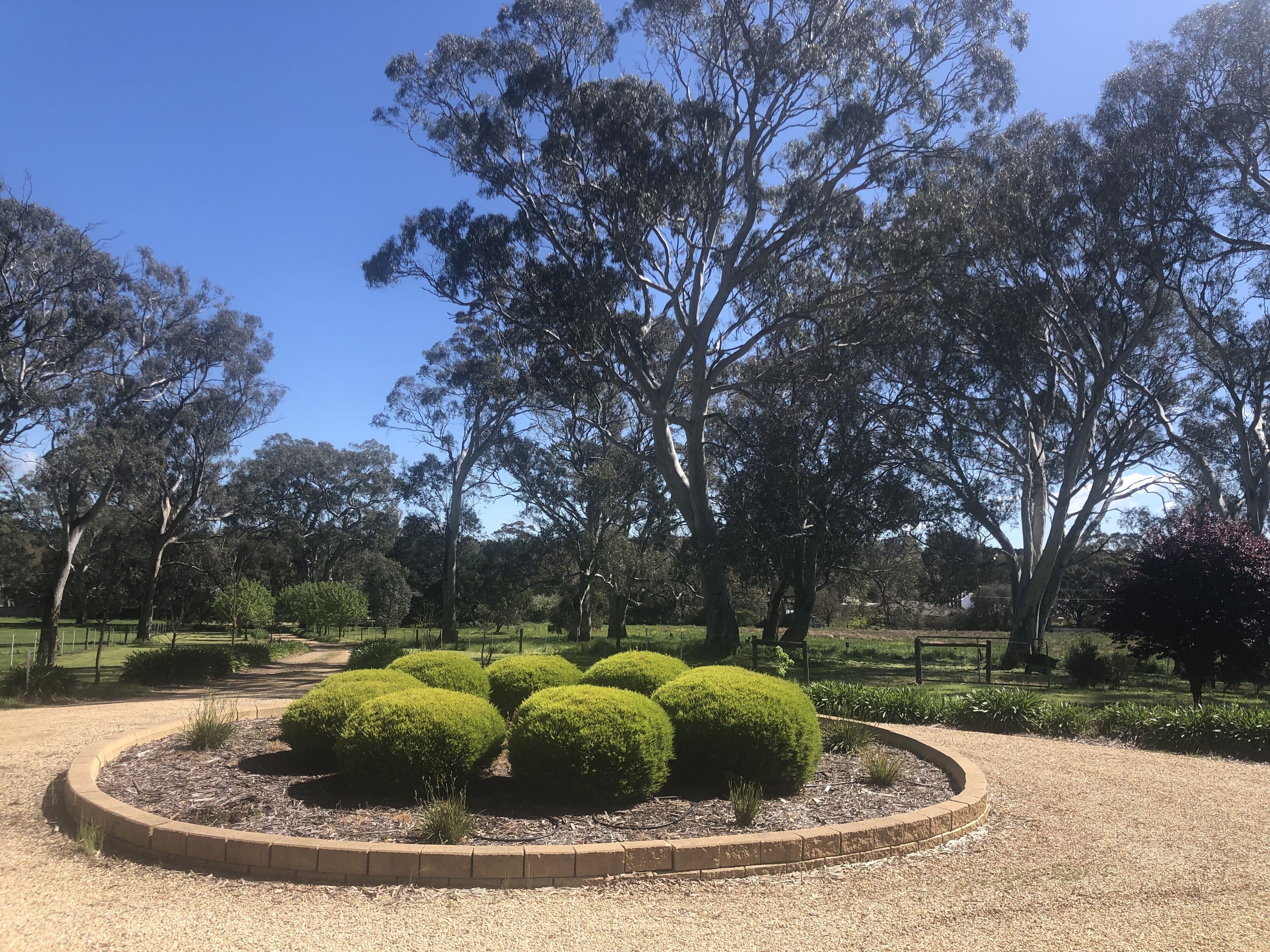 A landscaped garden with neatly trimmed bushes and mature trees.