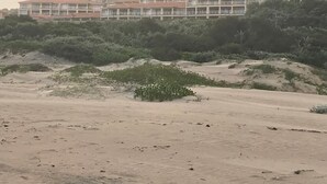 Rannikkomaisema, jossa on hiekkaranta ja taustalla rivi korkeita rakennuksia.