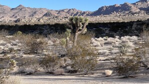Un paisaje desértico con vegetación escasa y montañas rocosas al fondo.