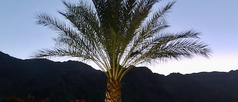 屋外プール、温水プール