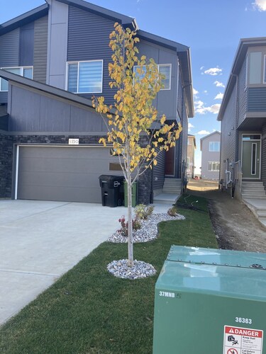 Legal Private One Bedroom Suite