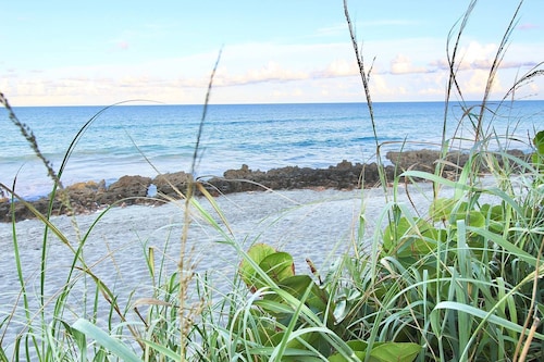 Jupiter Sunshine 3 BR Home w/ Pool in the heart of Jupiter!