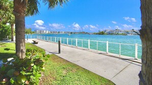 Eine Uferpromenade mit Betonweg, Palmen und Blick auf Gebäude gegenüber dem Wasser.