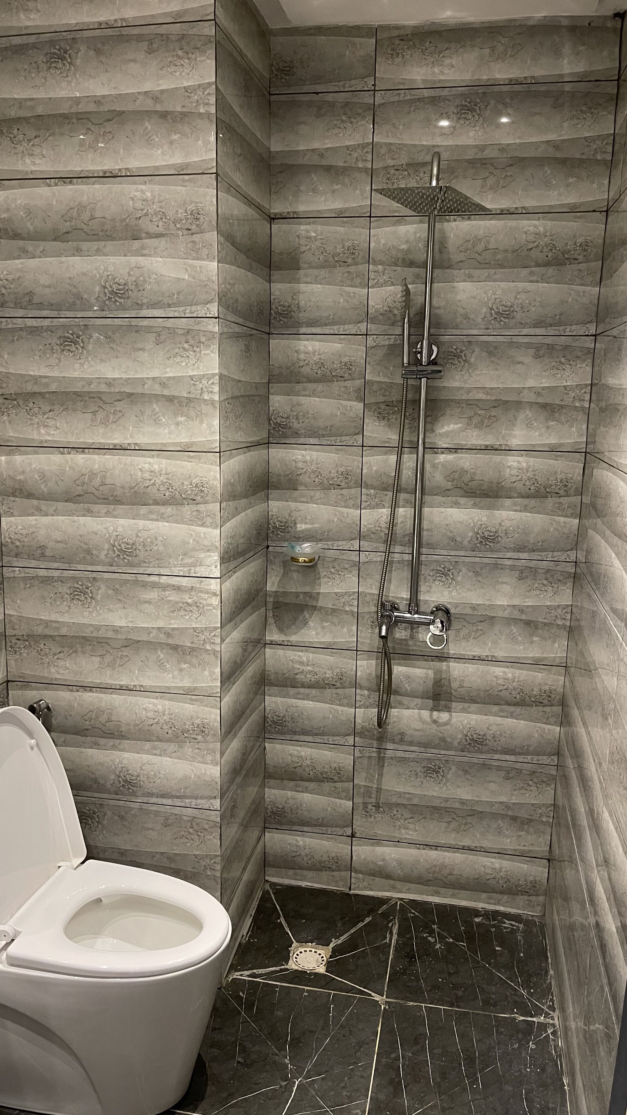 A bathroom with a toilet, a shower with a handheld showerhead, and a glass-enclosed toilet paper holder.