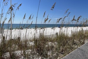 Ein Strand mit hohem Gras im Vordergrund und einem klaren, blauen Himmel.