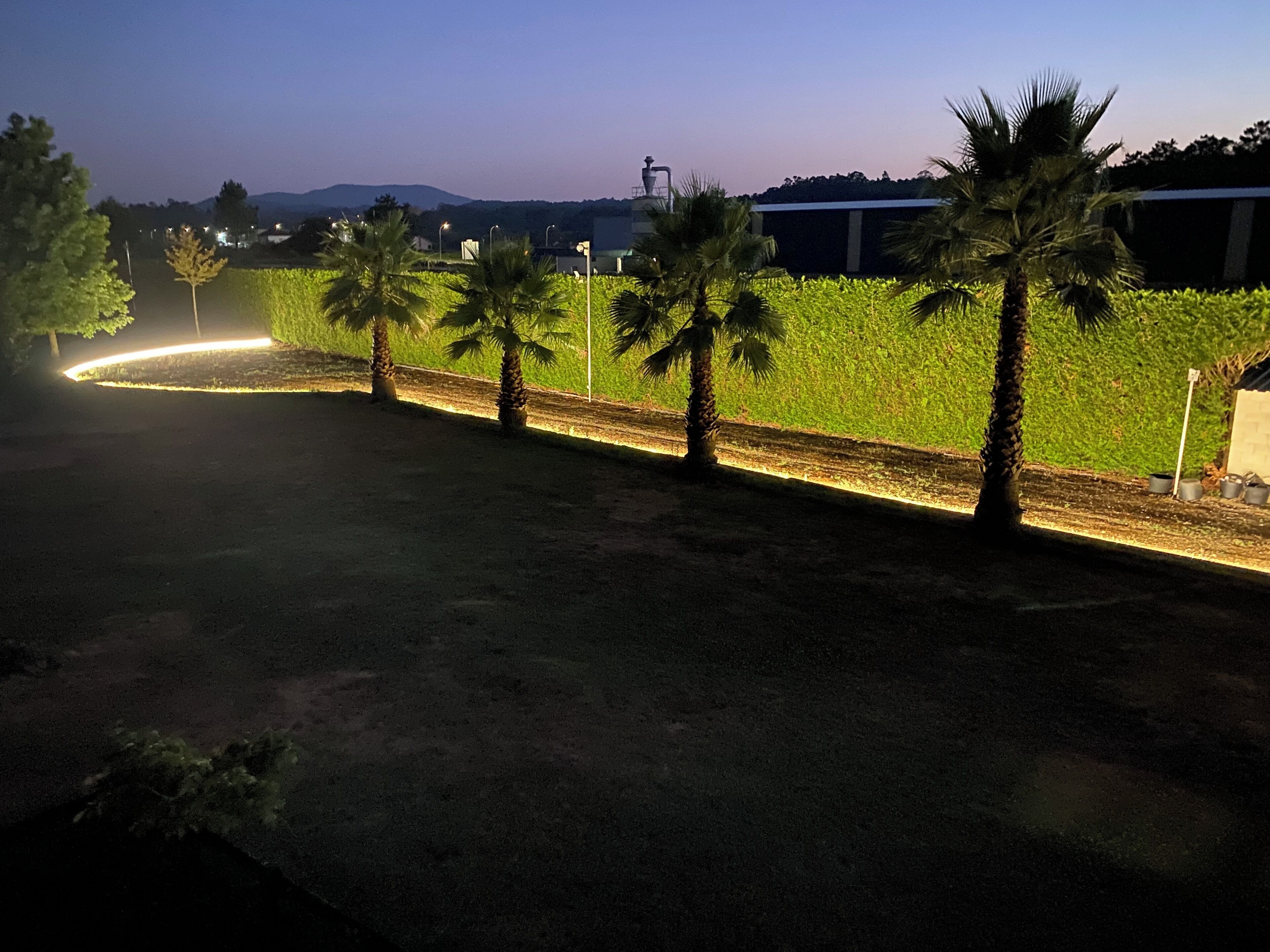 A nighttime view of a landscaped area with palm trees, a curved pathway, and a building in the background.