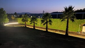 Vue nocturne d’un espace paysager agrémenté de palmiers, d’un chemin sinueux et d’un bâtiment en arrière-plan.