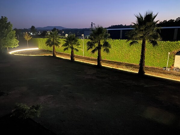 A nighttime view of a landscaped area with palm trees, a curved pathway, and a building in the background.