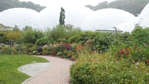 Un sentier de jardin dallé de briques, bordé d’une végétation luxuriante et de plantes en fleurs.