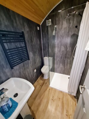 Shower, towels, soap, toilet paper